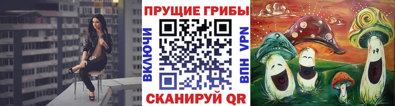 дарк нет клад  Сольвычегодск  Псилоцибиновые грибы Psilocybine cubensis 
